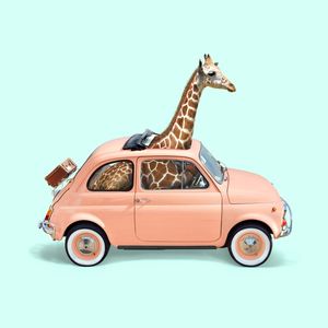 GIRAFFE CAR