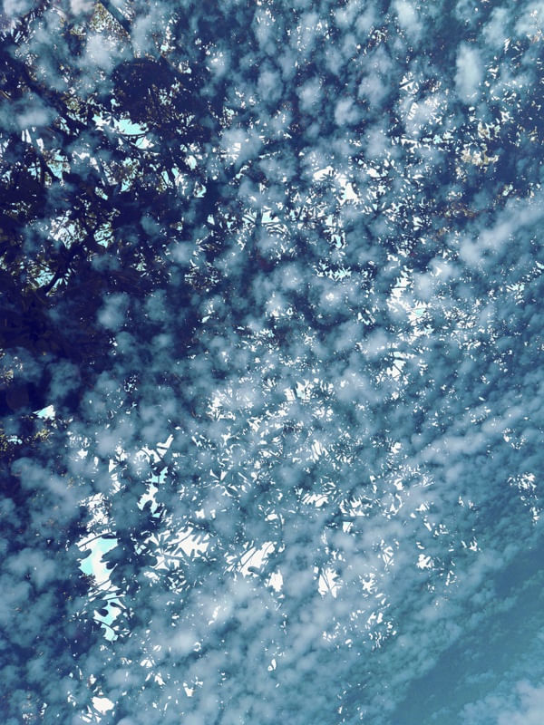OXYGEN MAGIC