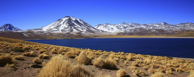 LAGUNA MISCANTI