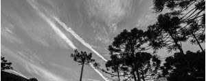 CIRRUS