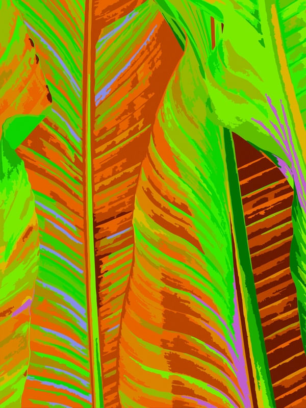 SUPERTROPICAL