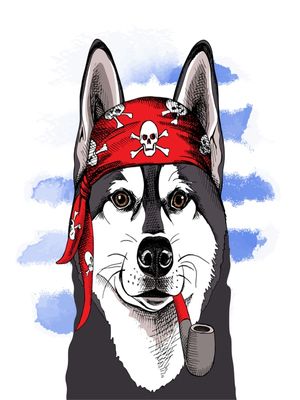 HUSKY SIBERIANO CHARUTO