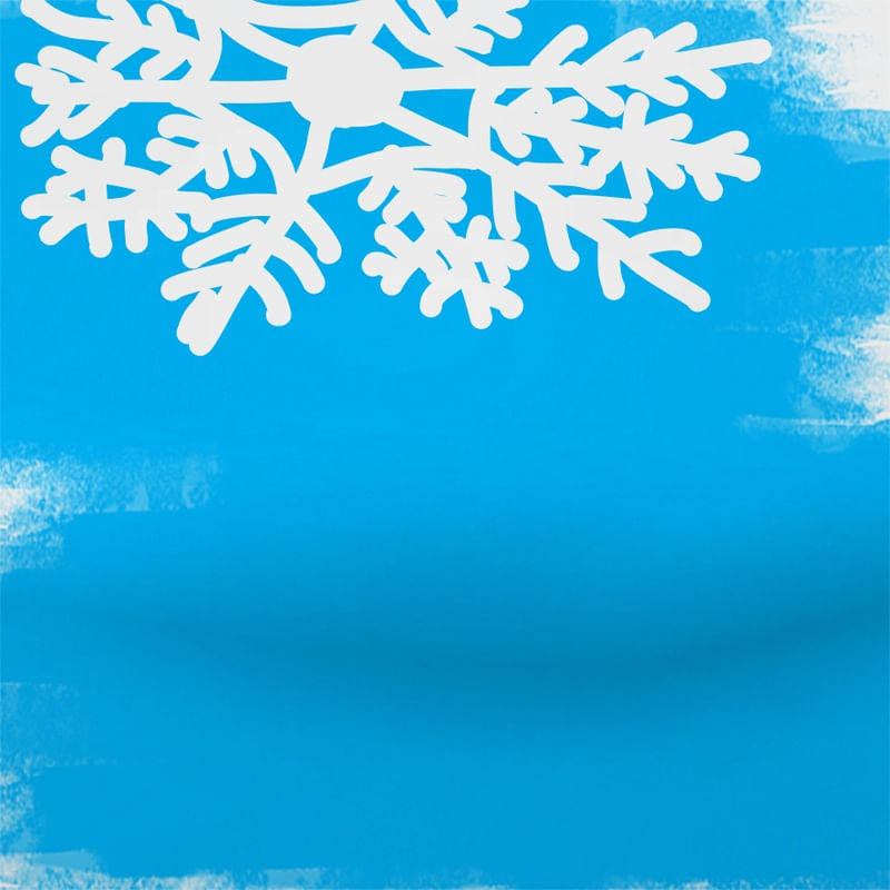 SNOW - DV