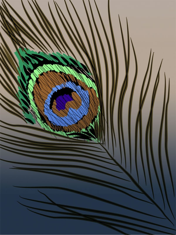 PAVÃO 2 - DV