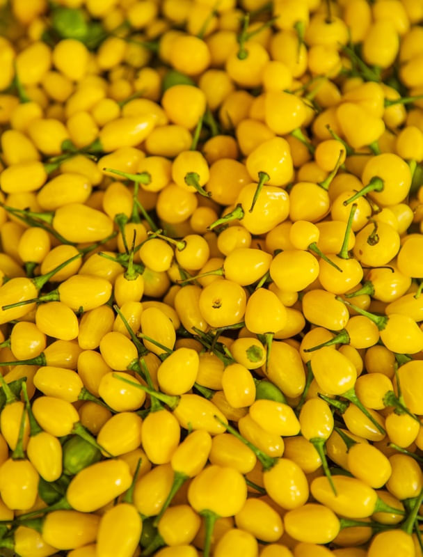 PIMENTA DE CHEIRO AMARELA