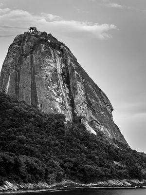 PÃO DE AÇÚCAR SOLO