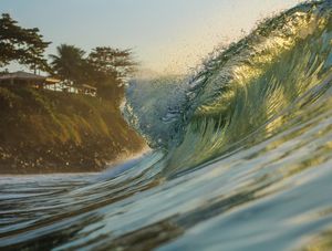GOLDEN WAVE