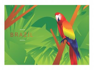 ARARA BRASIL