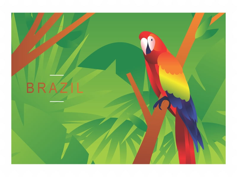 ARARA BRASIL