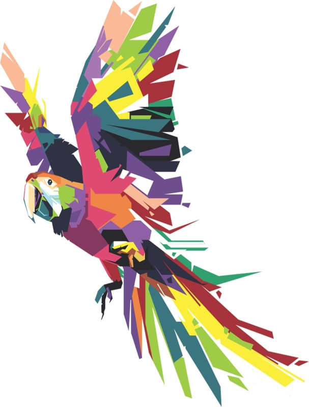ARARA PINTADA