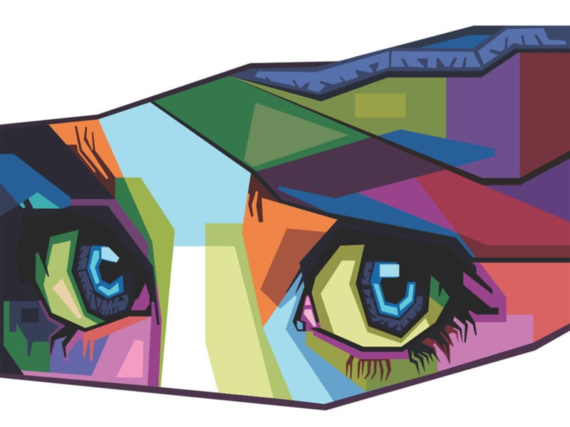 COLOR EYES