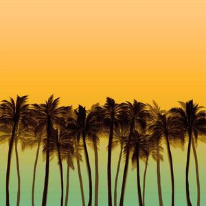 BEACH PALMS, BOLD 4