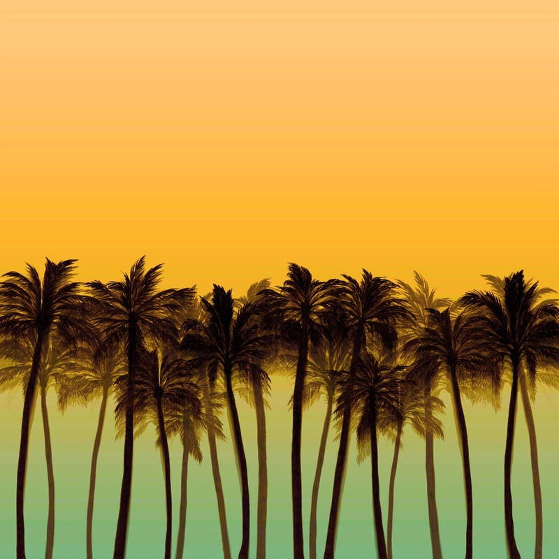 BEACH PALMS, BOLD 4