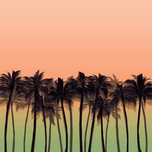 BEACH PALMS, BOLD 9