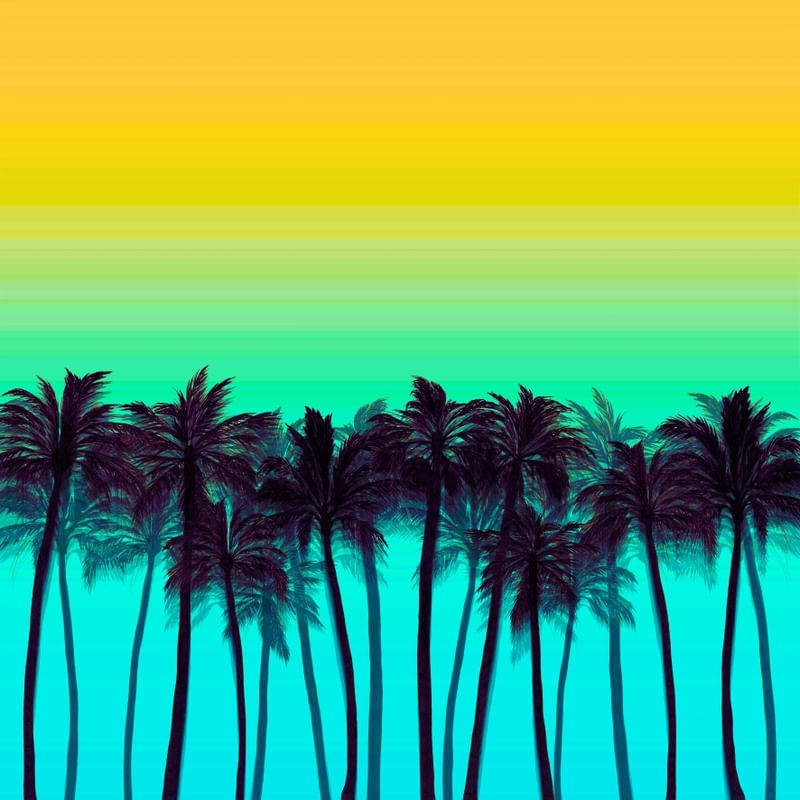 BEACH PALMS, BOLD 1