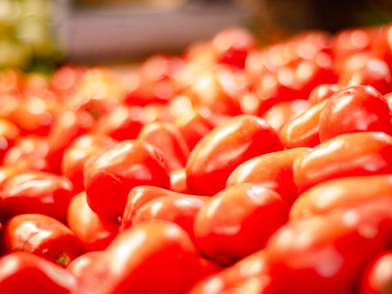 TOMATES VERMELHOS