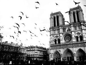 POMBAS EM NOTRE DAME