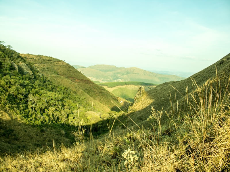 SERRA PEDRA GRANDE IGARAPÉ