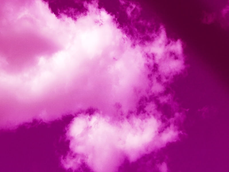 THE PURPLE HAZE