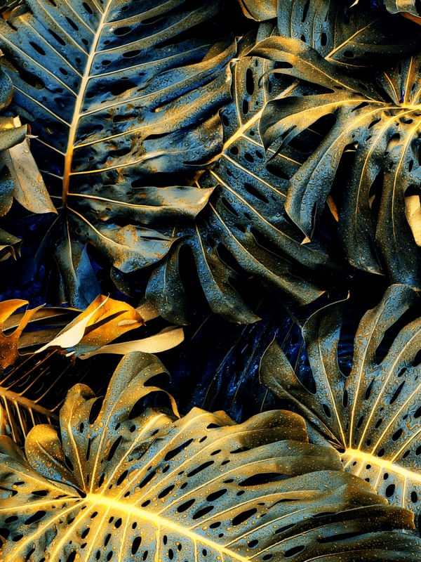 FOLHAS - DIPTICO I