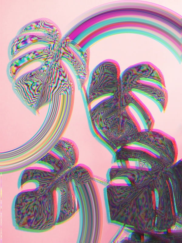 GLITCH MONSTERA ON PINK
