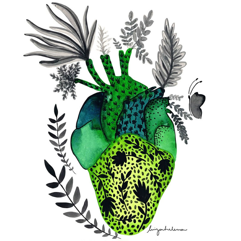 CORAÇÃO DE PLANTAS