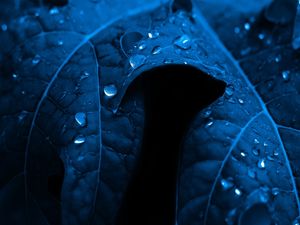 GOTA AZUL