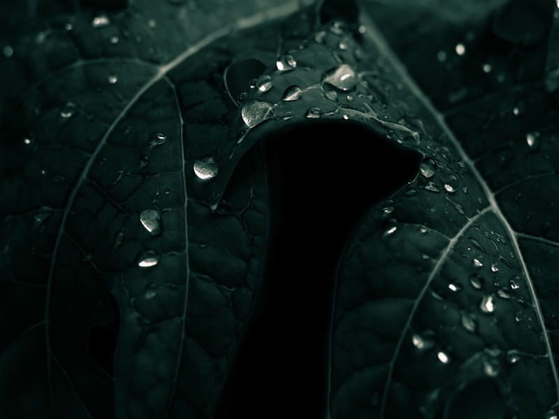 GOTA VERDE