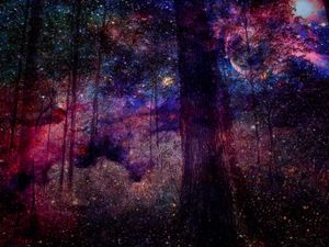 BOSQUE ENCANTADO