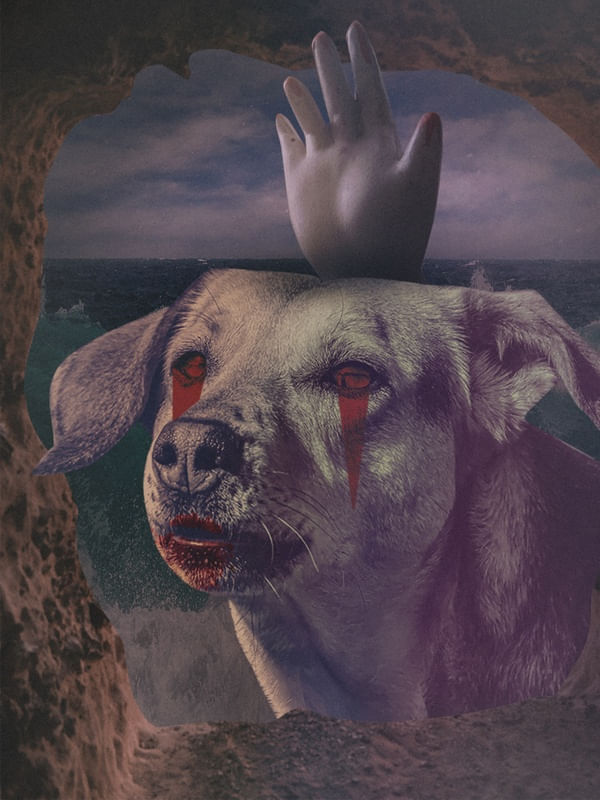 DARK DOG