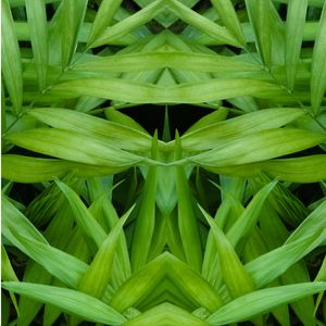TRÍPTICO 2 FOLHAS VERDES