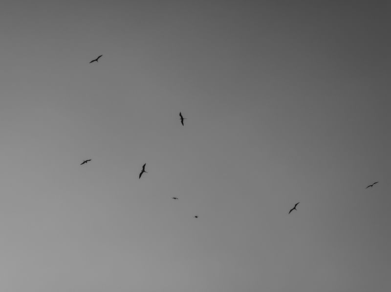 LIBERDADE PARA SEGUIR
