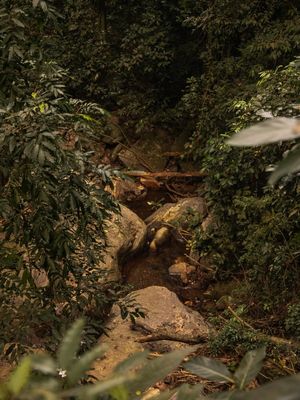 PEDRAS, VERDES E ÁGUA