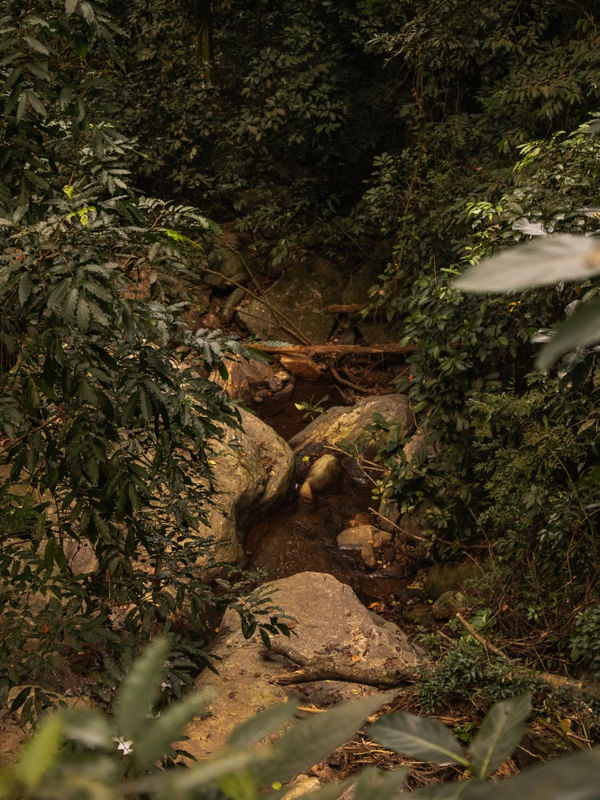PEDRAS, VERDES E ÁGUA
