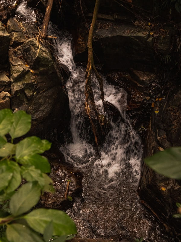 ÁGUAS CLARAS DA CACHOEIRA