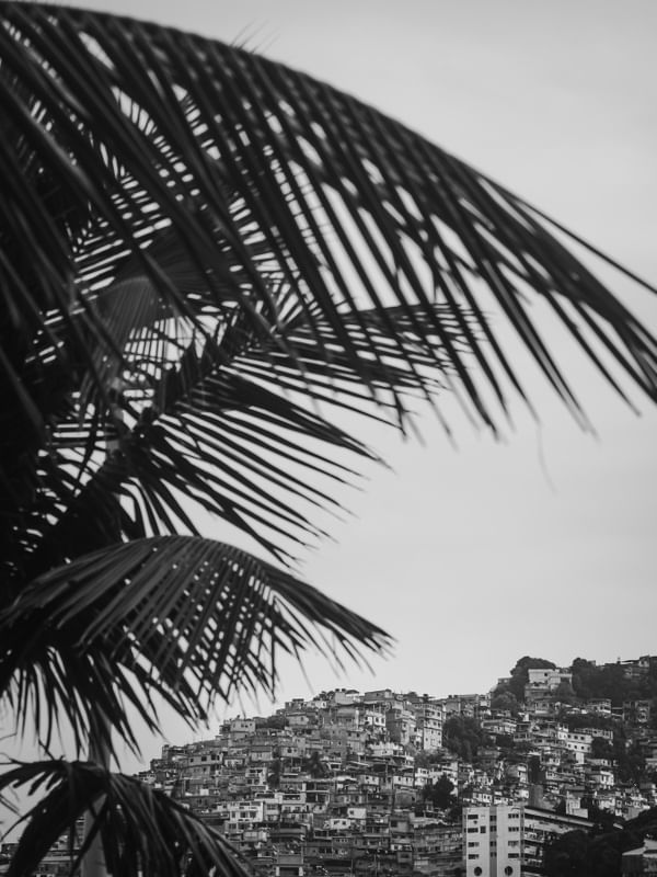 VIDIGAL PRETO E BRANCO