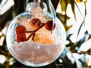 NATAL FELIZ
