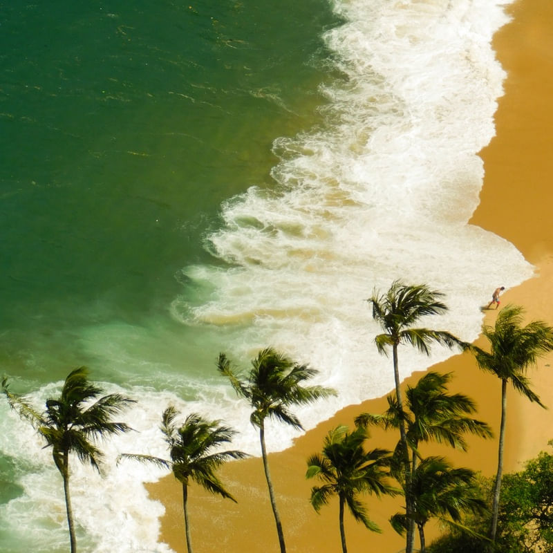 PRAIA E COQUEIROS