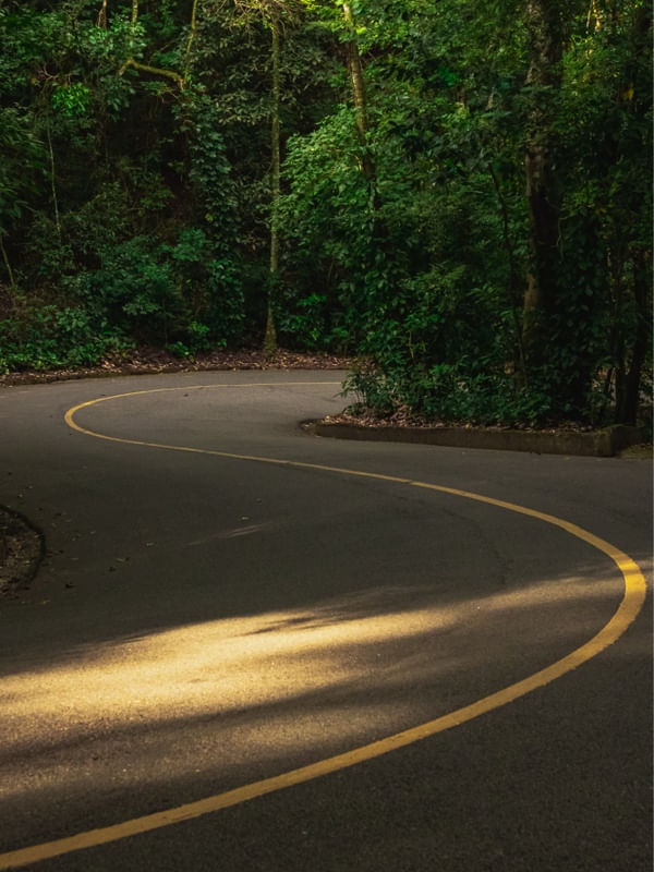 ESTRADA 021