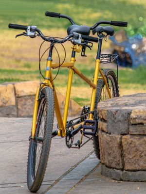 BIKE COLOR MDZ