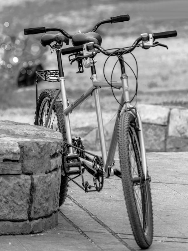 BIKE P&B MDZ