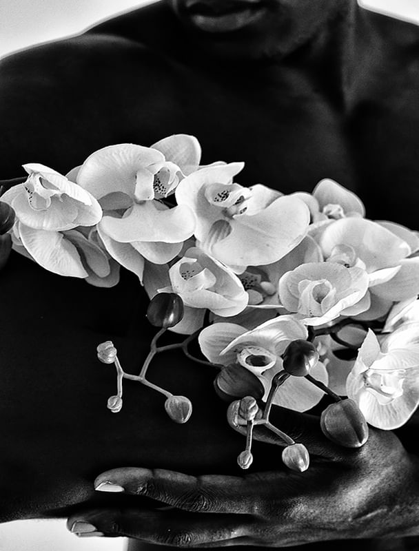 ORCHID PB