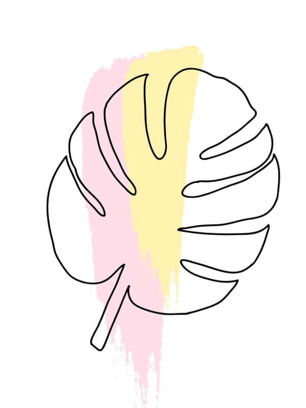 COSTELA CANDY COLOR