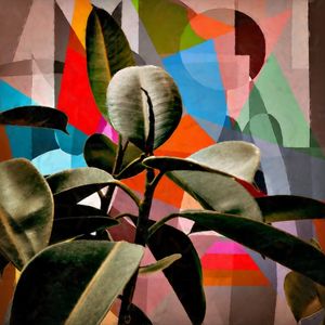 COMPOSIÇÃO FLORAL ABSTRATA 2