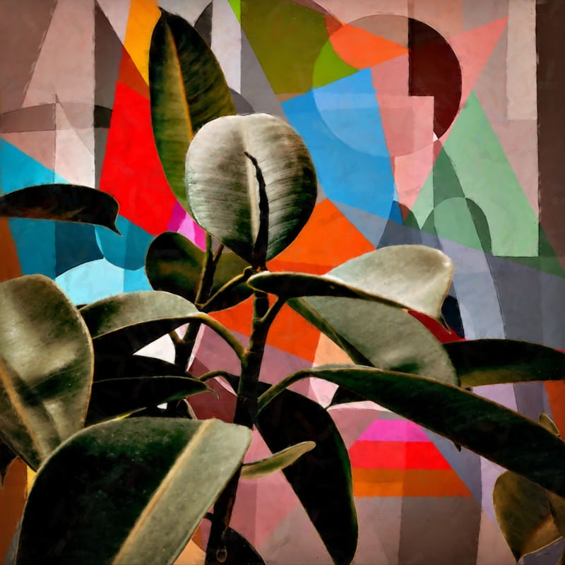 COMPOSIÇÃO FLORAL ABSTRATA 2