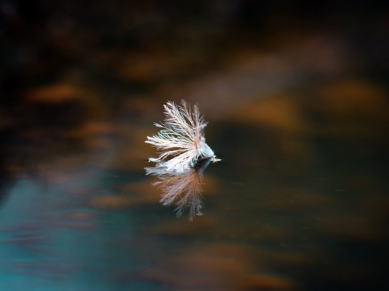FLUTUADOR DELICADO III