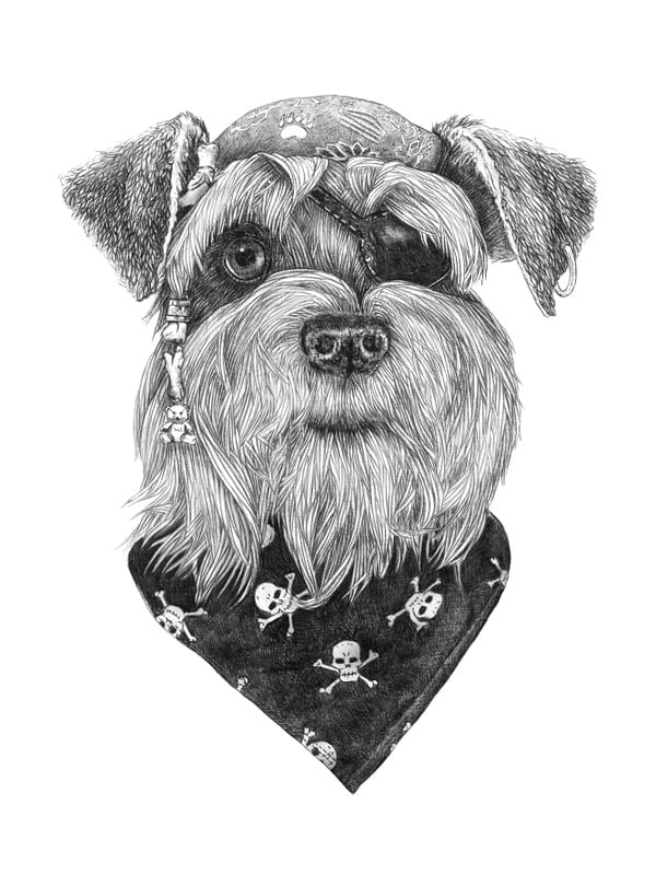 PIRATE SCHNAUZER