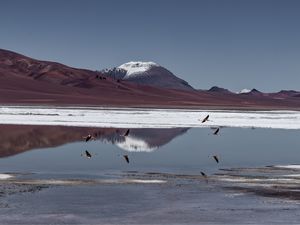 SALAR DE PUXA