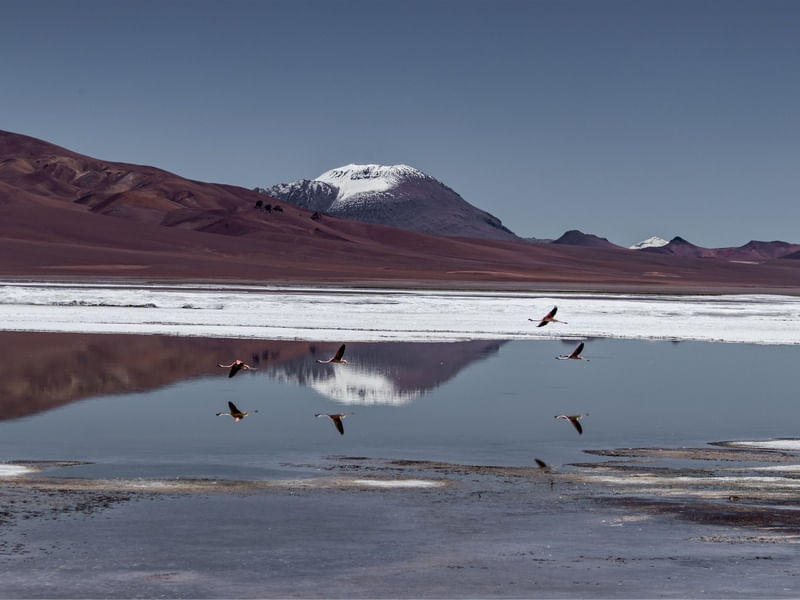 SALAR DE PUXA