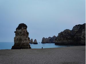 LOST WORLD